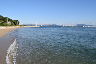 本島泊海岸