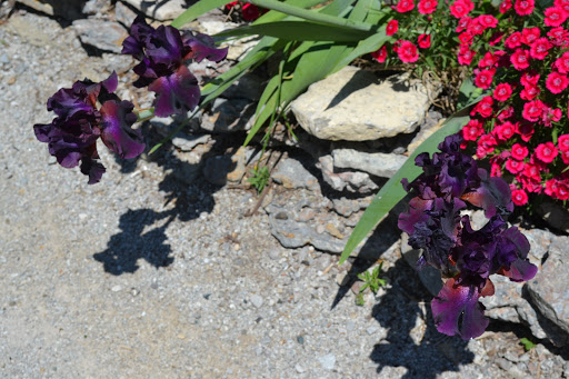 Winery «Lanthier Winery», reviews and photos, 123 Mill St, Madison, IN 47250, USA