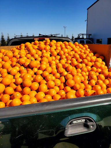 Supermarket «Santa Fe Mercados Inc», reviews and photos, 870 S White Rd, San Jose, CA 95127, USA