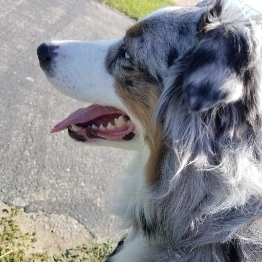 2954 NE Catawba Rd, Port Clinton, OH 43452, USA