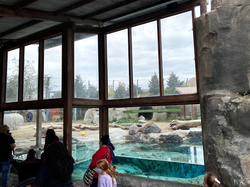 Zoo «Rocky Shores At Hogle Zoo», reviews and photos, 2478 E Ninth S Cir, Salt Lake City, UT 84108, USA