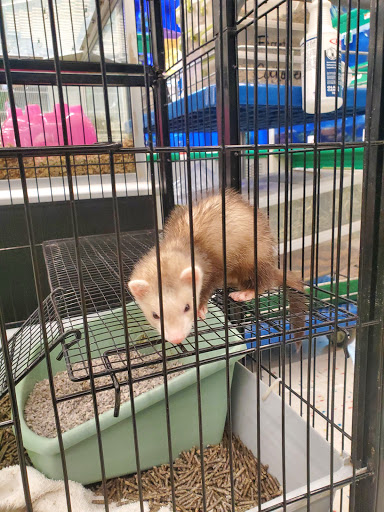 Pet Supply Store «Pet Supplies Plus», reviews and photos, 605 Grand Central Ave, Vienna, WV 26105, USA