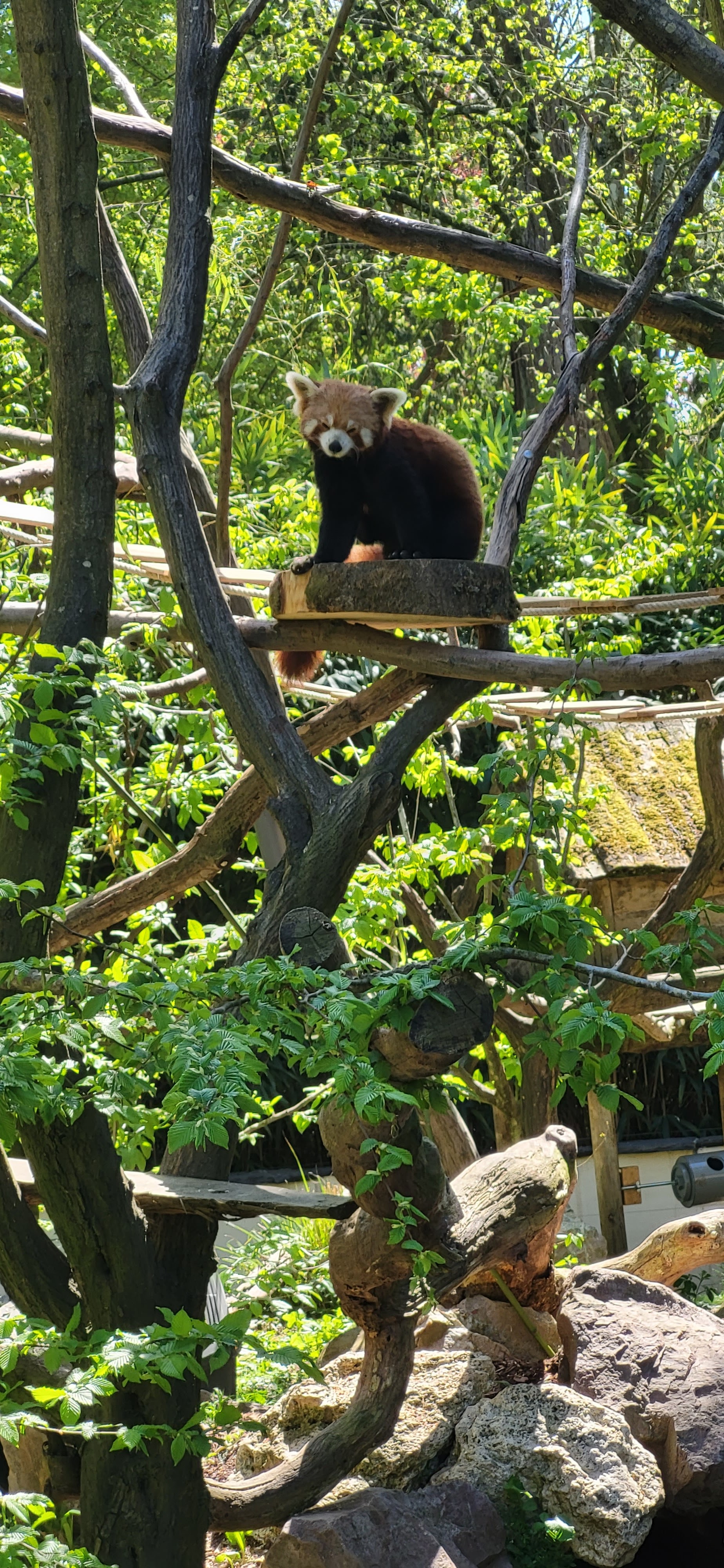 Photo n° 1 de l'avis de ///.u fait le 05/05/2023 à 16:25