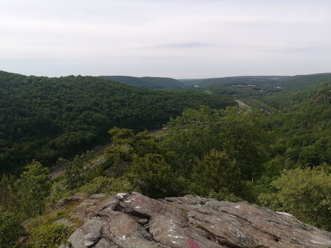 Naugatuck State Forest