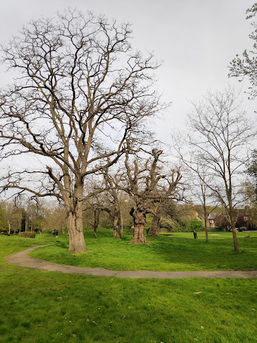 Wood Green Common - London
