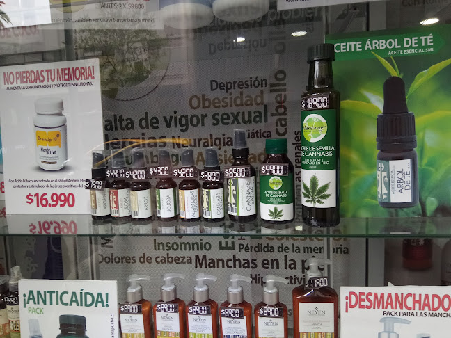 Farmacias Mapuche - Puente Alto