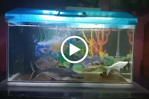 Vedashree Aquarium image