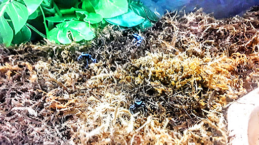 Pet Supply Store «Petco Animal Supplies», reviews and photos, 6280 S Westnedge Ave, Portage, MI 49002, USA