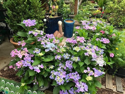 Garden Center «Beachside Gardens & Gifts», reviews and photos, 3725 US-12, Michigan City, IN 46360, USA
