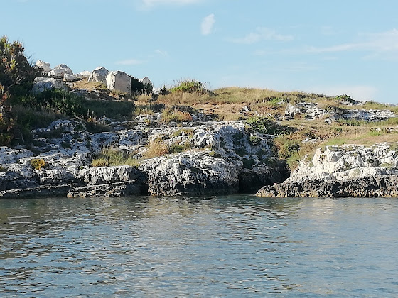 Photos des visiteurs Appartamento vacanze Appartamenti Puccini 71019 Vieste