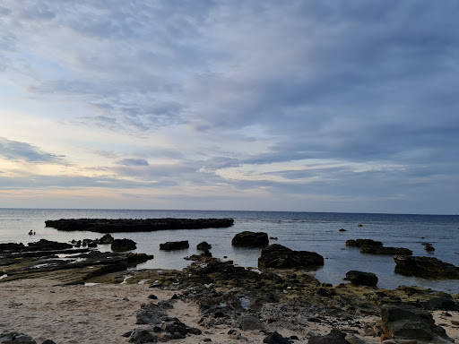 Top 20 cửa hàng akemi Huyện Lý Sơn Quảng Ngãi 2022