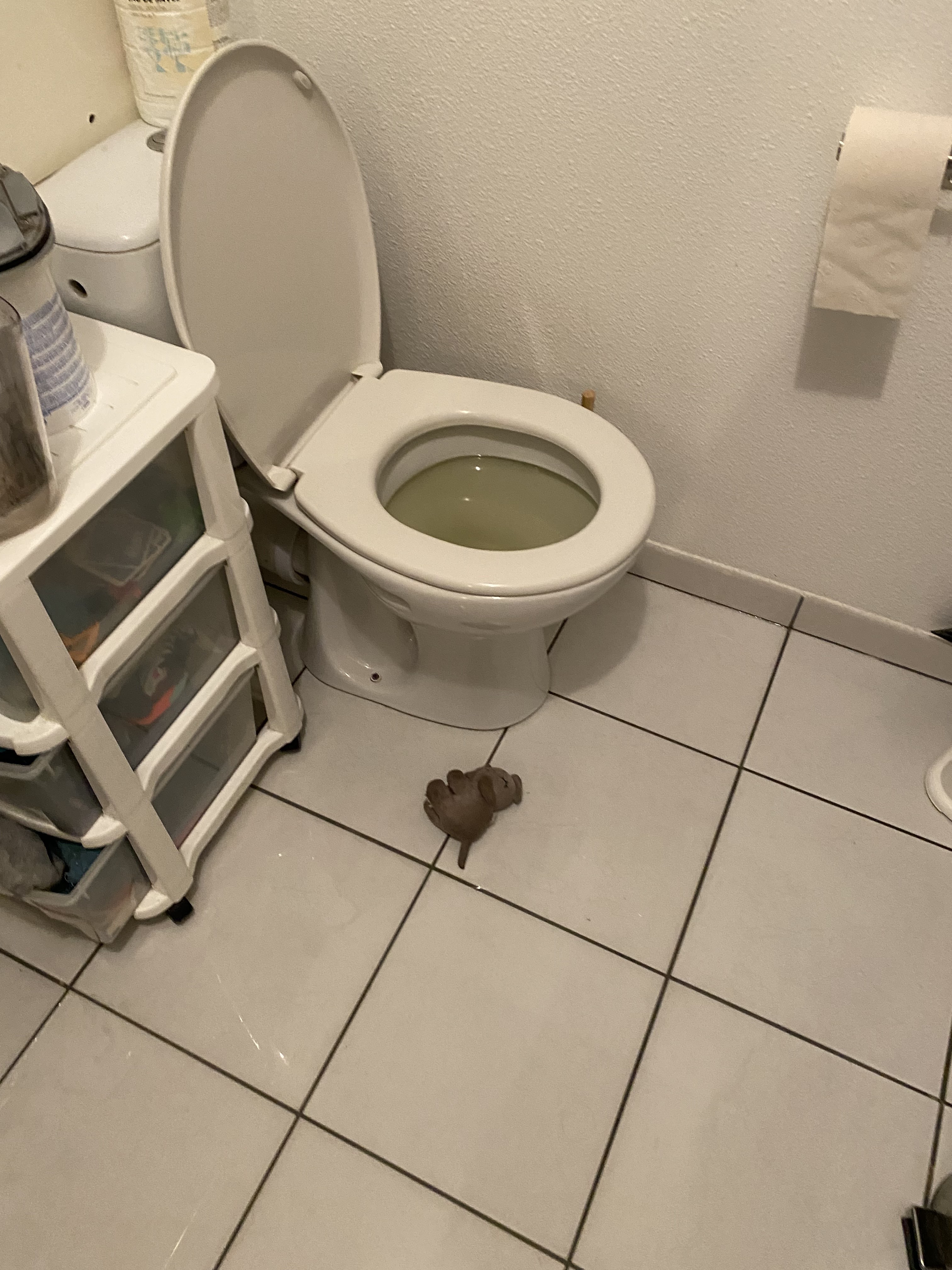 Photo n° 1 de l'avis de Prune.r fait le 20/09/2023 à 10:29