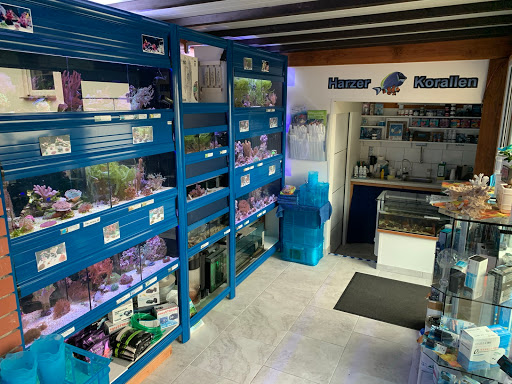 Harzer-Korallen-Shop unter Elbingerode, 