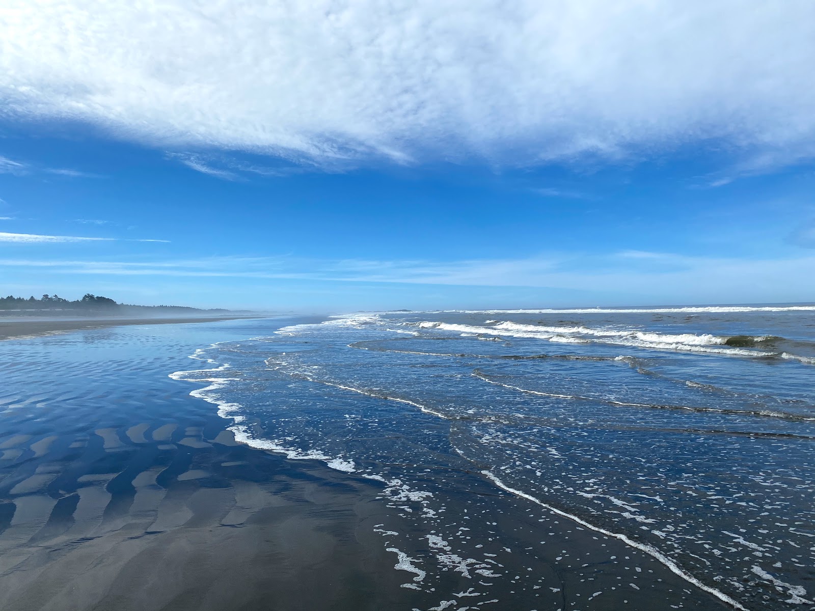 Kalaloch Beach photo #8