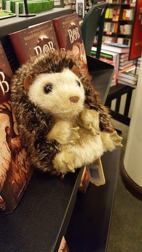 Book Store «Barnes & Noble», reviews and photos, 5275 Harvey St, Muskegon, MI 49444, USA