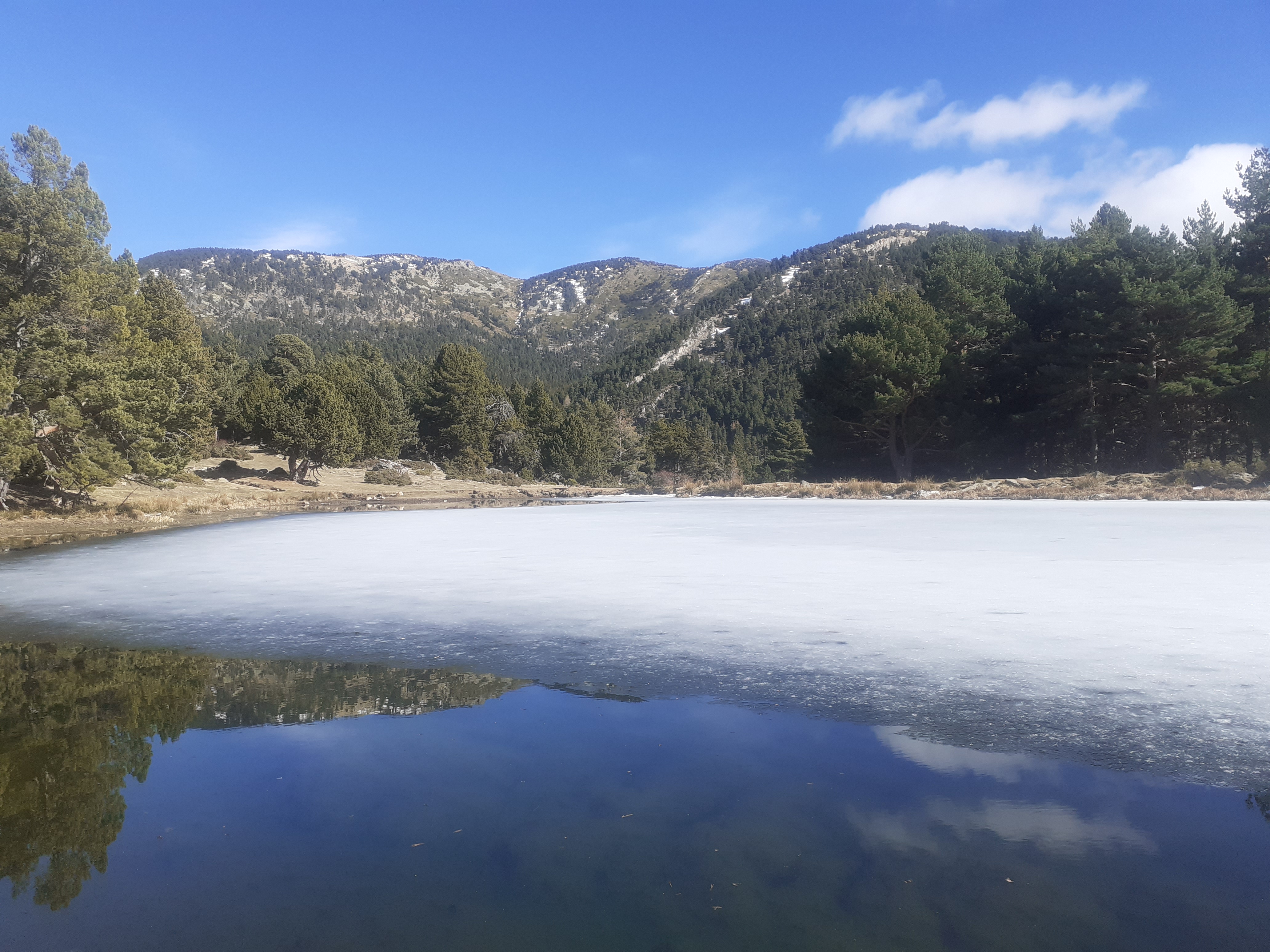 Photo n° 2 de l'avis de Bruno.i fait le 10/02/2024 à 17:34