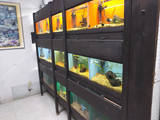 Pet Store «Valley Pets», reviews and photos, 6380 US-85, Fountain, CO 80817, USA