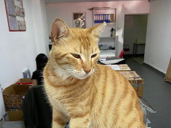 Aras Kargo Şairnedim Şubesi