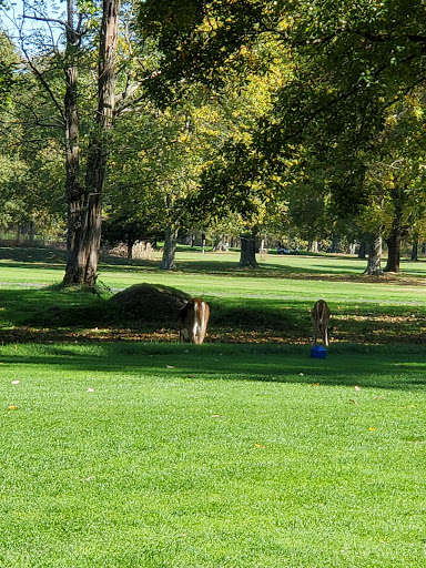 Public Golf Course «Algonkian Golf Course», reviews and photos, 47001 Fairway Dr, Sterling, VA 20165, USA