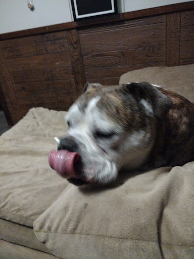 Pet Supply Store «Petco Animal Supplies», reviews and photos, 244 Pioneer Trail, Chaska, MN 55318, USA