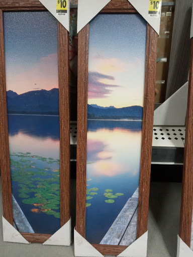 Discount Store «Dollar General», reviews and photos, 100 US-20, Porter, IN 46304, USA