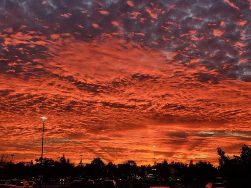 Warehouse store «Costco Wholesale», reviews and photos, 1470 Marvin Rd NE, Lacey, WA 98516, USA