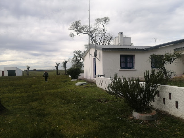 Escuela Cerro del Arbolito - Escuela