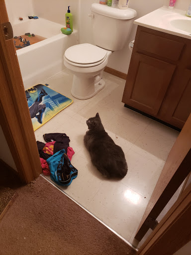 Pet Supply Store «PetSmart», reviews and photos, 3500 IN-38, Lafayette, IN 47905, USA