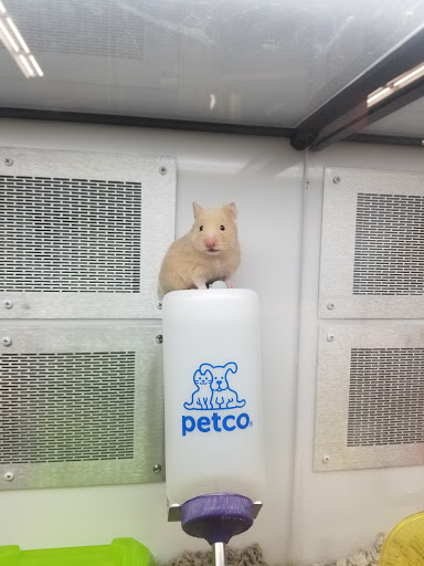 Pet Supply Store «Petco Animal Supplies», reviews and photos, 160 Sayebrook Pkwy, Myrtle Beach, SC 29588, USA