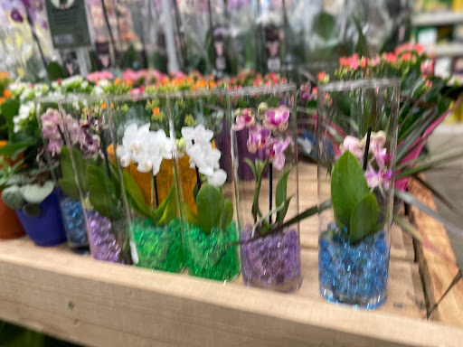 Home Improvement Store «The Home Depot», reviews and photos, 2600 US-169, Grand Rapids, MN 55744, USA