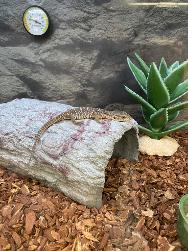 Pet Supply Store «Petco Animal Supplies», reviews and photos, 50 Ernest W Barrett Pkwy NW #500, Marietta, GA 30066, USA