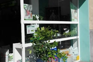 Eco-Logic Growshop & CBD Shop image