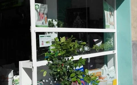 Eco-Logic Growshop & CBD Shop image