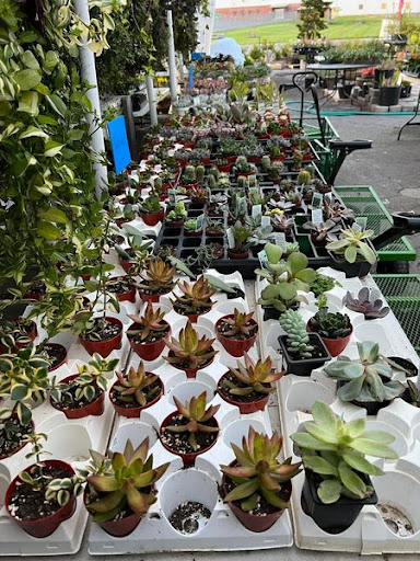 Florist «TG Designs», reviews and photos, 19231 Longmeadow Rd, Hagerstown, MD 21742, USA