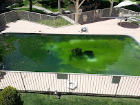 CFX ENTERPRISES LLC Pool&Spa *Please Tap Website to book an appointment* - Photo 4 - Car repair in , Las Cruces