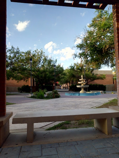 Book Store «El Paso Community College Book Store», reviews and photos, 919 Hunter Drive, El Paso, TX 79915, USA