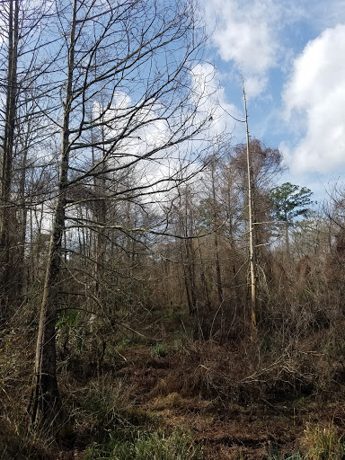Book Store «Lone Star College Kingwood Bookstore», reviews and photos, 20000 Kingwood Dr, Kingwood, TX 77339, USA