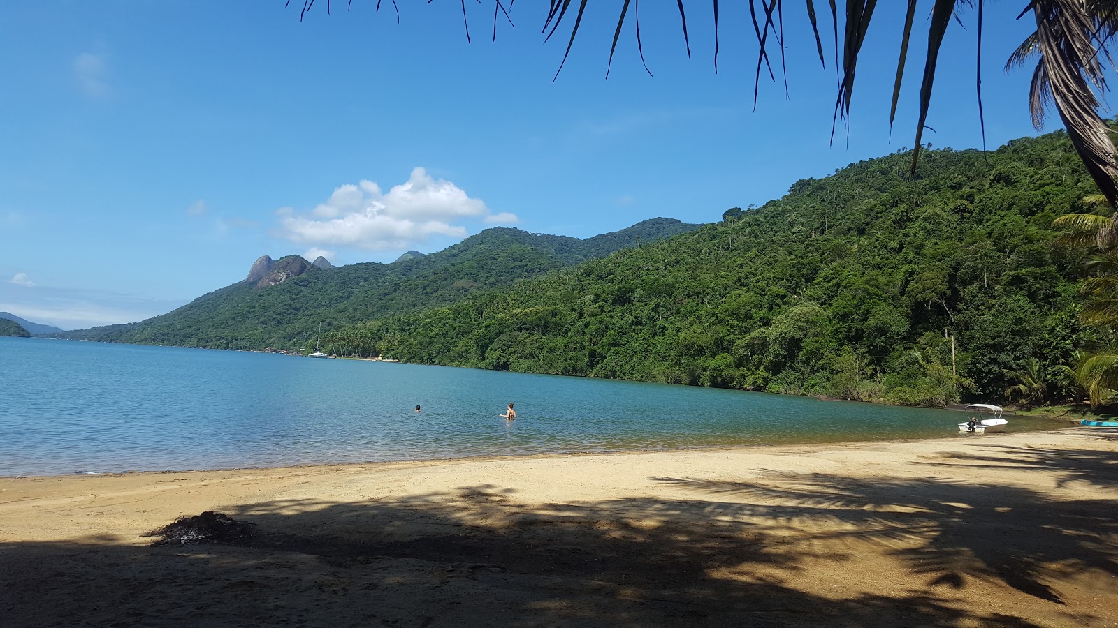 Photo de Praia Coqueiros avec sable lumineux de surface