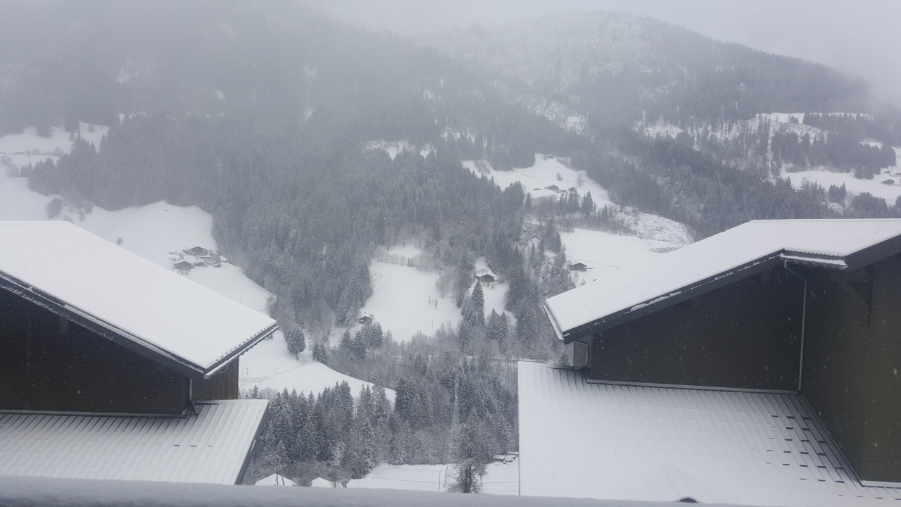Photo n° 3 de l'avis de N. fait le 12/01/2019 à 05:29