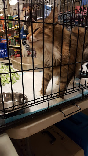 Pet Supply Store «PetSmart», reviews and photos, 63 Rice Lake Square, Wheaton, IL 60187, USA