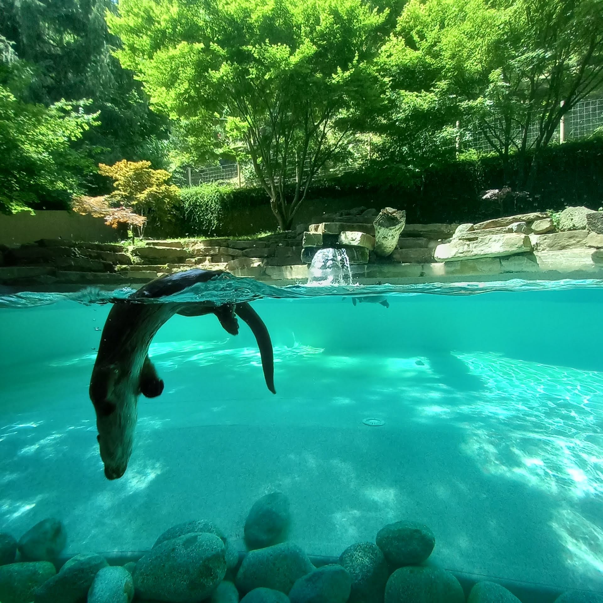 Photo n° 16 de l'avis de Imelda.i fait le 24/08/2019 à 20:04