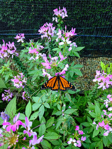 Park «Lake Front Park», reviews and photos, 23000 Jefferson Ave, St Clair Shores, MI 48080, USA