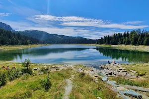 Lago Palù image