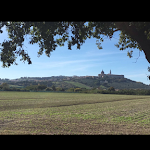 Photo n°8 de l'avis de SARA.S fait le 16/11/2017 à 18:55 sur le  OrtoPì Country Canapa House à Porto Recanati