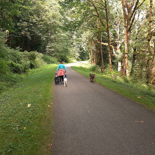 Tourist Attraction «Preston-Snoqualmie Trail Head parking», reviews and photos, Preston-Snoqualmie Trail, Fall City, WA 98024, USA