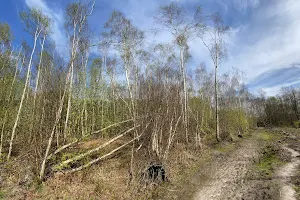 RSPB Broadwater Warren Nature Reserve image