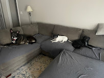 Rachel's Pet Sitting - Photo 1 - Car repair in , Murfreesboro