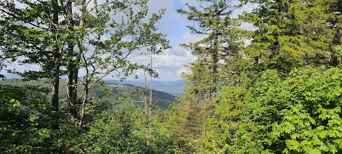 attractions Rocher de l'Edelweiss Belmont