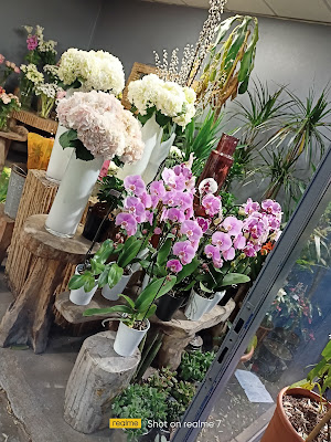 Rosa Fleurs à Boulogne-Billancourt