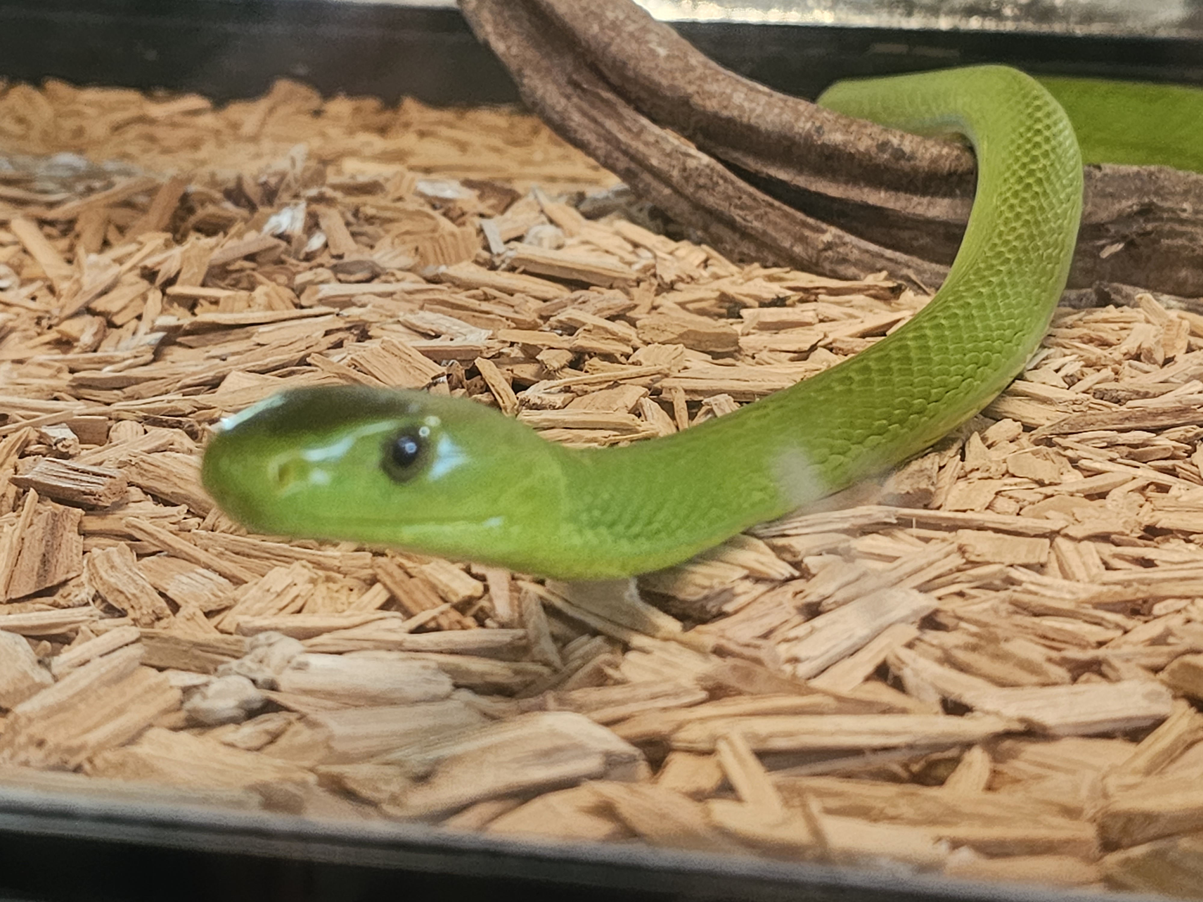 Photo n° 3 de l'avis de Padawan. fait le 17/07/2023 à 20:11